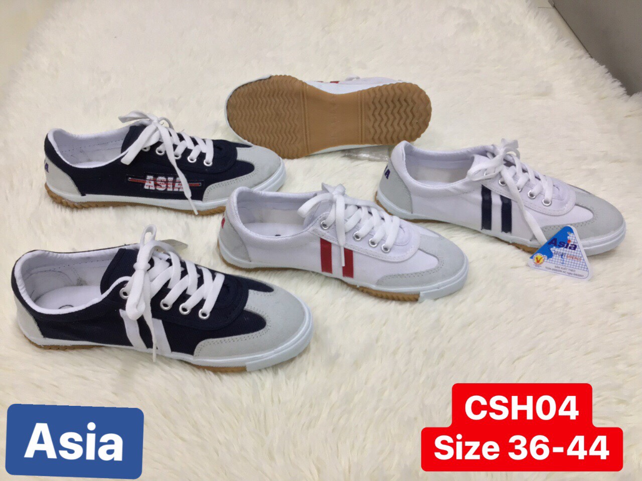 giày bata csh04